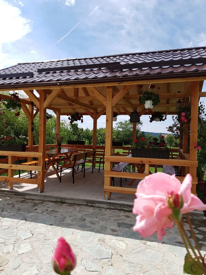 Pensiunea Codruta Carpinisu Ngoại thất bức ảnh